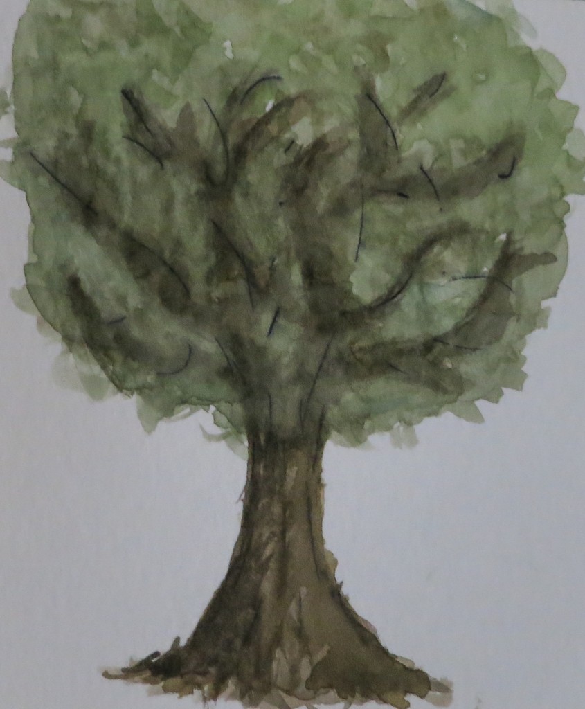 One of the final products from our drawing class in Florence